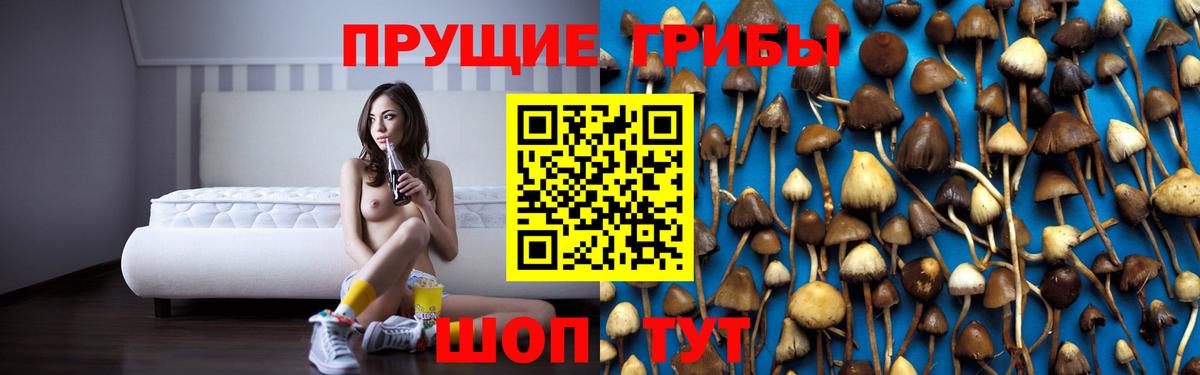 Бугуруслан  Галлюциногенные грибы Magic Shrooms  Псилоцибиновые грибы Magic Shrooms  Вход с VPN 